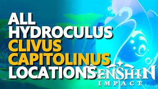 All Clivus Capitolinus Hydroculus Locations Genshin Impact [upl. by Gilburt]