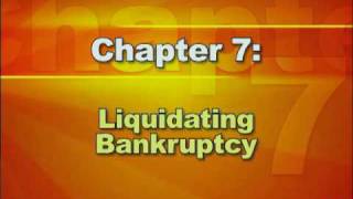 Bankruptcy Basics  Part 2 Types of Bankruptcy [upl. by Elbag]