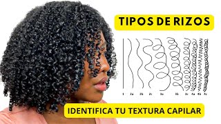 3B 4C o 2A ¿Cuál es tu tipo de rizos😱  Identifica textura capilar Afro Rizada Ondulada [upl. by Anol102]