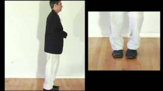 How to do the Cha Cha Slide Dance by DJ Casper RIP [upl. by Carmita]