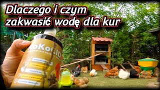 chicken 🐓🐤🦆 Zakwaszanie wody dla drobiu  Czym zakwaszać i po co [upl. by Birecree]