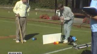 Croquet  Series B Single Ball Shots [upl. by Artenal673]