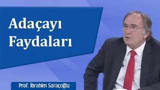 Adaçayı Faydaları  İbrahim Saraçoğlu [upl. by Attennod]