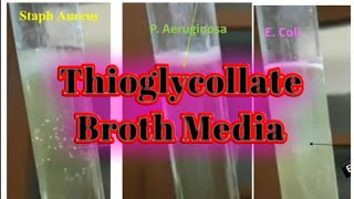 Thioglycollate broth culture media lecture 36 [upl. by Deuno91]