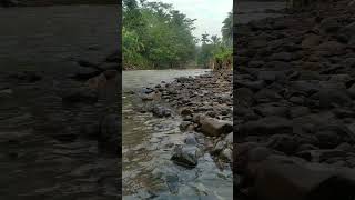 Melihat sungai sachrulfamilychannel [upl. by Dannie]