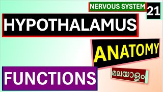 Hypothalamus Anatomy Physiology Malayalam Functions Of Hypothalamus Malayalam [upl. by Leaw]