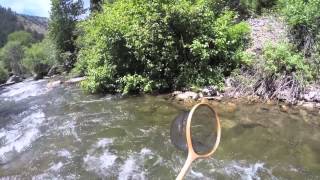 084 Hot Weather Tenkara  July 14 2014 [upl. by Dayiz]