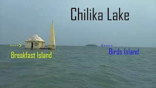 Chilika Lake  Jewel of Odisha  Tourist Place  Rambha Chilika  Odisha  India [upl. by Aniehs]