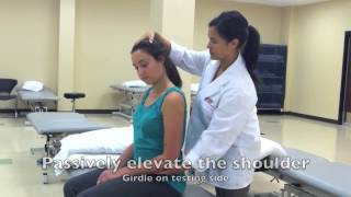 Video for MM length testing for Upper Traps and Levator Scapulae [upl. by Allez]