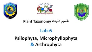 Section 6 Plant Taxonomy  Psilophyta Microphyllophyta amp Arthrophyta [upl. by Nnyledam76]