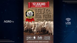 LEILÕES BOA VISTA AO VIVO  SANTA JULIANA  MG [upl. by Aihsenrad107]