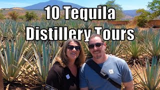 We visit 10 Distilleries in the Pueblo Mágico of Tequila [upl. by Aneladgam575]