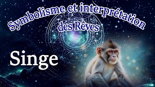 Symbolisme et interprétation de rêve de singe [upl. by Rue430]