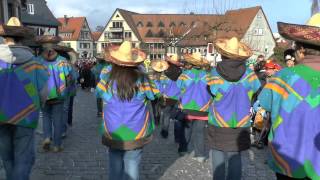 TaunusKarnevalszug in Oberursel 2014 [upl. by Essa]