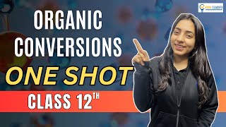 All ORGANIC CONVERSIONS of NCERT Class 12 ONESHOT  Boards  NEET neet cbse cbseboard neet2024 [upl. by Ainerbas592]