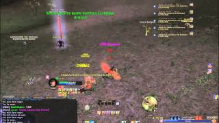 Lotro PvMPBrandywineU15 Warden PvP [upl. by Eiznikam39]