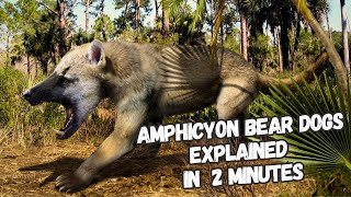 Amphicyon Real Prehistoric Hybrid Explained In 2 Minutes [upl. by Rainer]