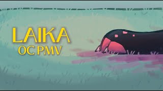 LAIKA  OC PMV ║ STORYTALE [upl. by Figge]