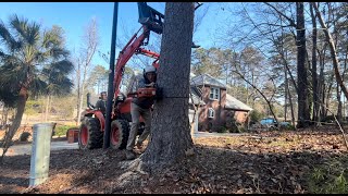 Customer said no way you can drop it right therePINE TREE REMOVAL [upl. by Saravat309]