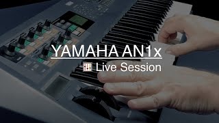 Yamaha AN1x quotAnalog Plusquot [upl. by Vokay]