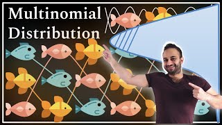 The Multinomial Distribution  Data Science Basics [upl. by Anomer]