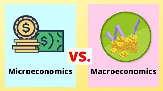 Micro Vs Macro Economics [upl. by Yrgoerg]