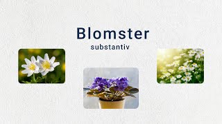 Tema Blomster A2 Substantiv levitator substantiv norsk norskkurs norwegian blomster sommer [upl. by Eityak]