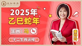 麦玲玲师傅详解2025蛇年运程：生肖马！事业运、财运、人际关系、爱情、婚姻、健康全解析！ [upl. by Eleonora]