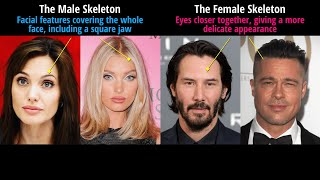 Hollywood Gender Transvestigation Exposed [upl. by Doralyn]