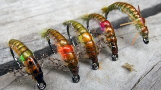 Austroperlidae stonefly nymph easy fly tying instructions by Ruben Martin [upl. by Fidellia]