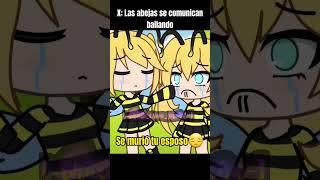 Las abejas se comunican bailando🐝 gachalife memes [upl. by Grose]