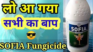 Sofia Fungicide।। Hexaconazole 4 Carbendazim 16 sc Insecticide India।। iilसोफिया फफूंदी नाशक।। [upl. by Ern]