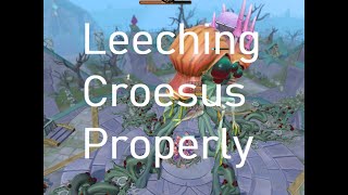 How To Properly Leech Croesus  5m GPHR  205k Fletch XPHR Mass World 68 [upl. by Acisset]