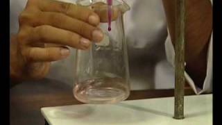 Chemistry PracticalTitration [upl. by Langille]