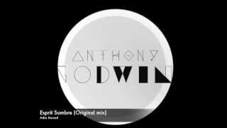 Anthony Godwin  Esprit Sombre Original mix [upl. by Johnette]