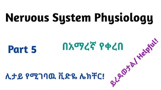 Physiology Neurophysiology General Nervous Tissue Part 5 Video Lecture in Amharic Speech [upl. by Harbot]