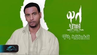 Temesgen Gebreselassie  Taniqo  Wala Aykeseb  ዋላ ኣይከሰብ  Eritrean Music   Official Audio [upl. by Schreib]