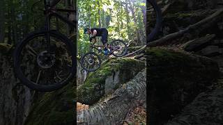 Flow trail  mtb bike mtbbike foryou fyp viral viralvideo trending bikelife jump rock [upl. by Mckinney4]