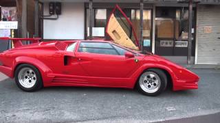 Lamborghini Countach LP500S 25th Anniversary エンジン始動V12 ランボルギーニ カウンタック LP5000 アニバーサリー 3 [upl. by Loar]