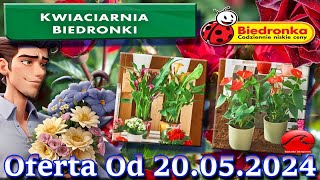 𝐁𝐈𝐄𝐃𝐑𝐎𝐍𝐊𝐀🐞Kwiaciarnia Biedronki Nowa Oferta Od 20052024 Kwiatowe Inspiracje Biedronki Tanie Kwiaty [upl. by Rivard]