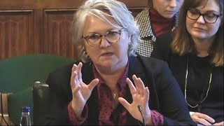 Chief Executive Sue Pritchard briefs Environmental Audit Committee [upl. by Aettam]