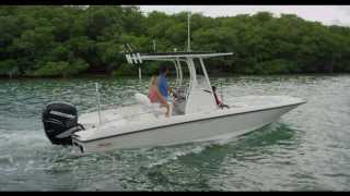 Boston Whaler 240 Dauntless [upl. by Marchal]