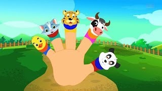 Animals Finger Family for Babies and Children [upl. by Wilbur]