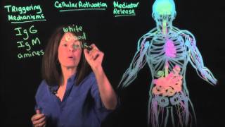 Food Intolerance  My Food Sensitivity Test amp Results  Dr Mona Vand [upl. by Eniaj]