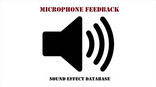 Microphone Feedback Sound Effect [upl. by Gae]