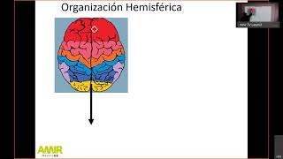 ENARM 2021 clase de Neurología parte 1 [upl. by Pegasus]