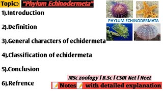 phylum Echinodermetagenaral character and classification of echidermetaechidermeta [upl. by Danziger]