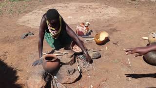 A tree with 11 uses Desert date Balanites aegyptiaca in north eastern Uganda [upl. by Hanser]