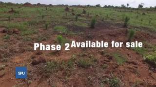 SPONSORED Amaya Tree Estate Nakasongola Phase 2 available for sale [upl. by Theodosia]