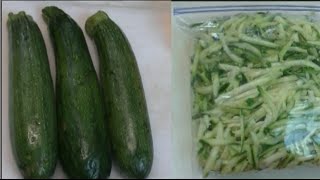 How to Freeze Zucchini No Blanching  Noreens Garden [upl. by Ianej869]